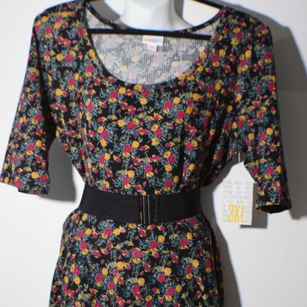 3XL Lularoe Nicole Dress